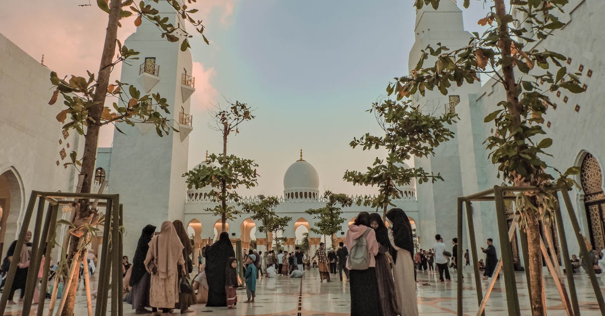Mains plantant une fleur dans la terre illustrant la responsabilité islamique envers la nature